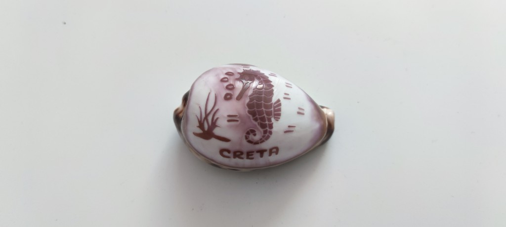 Decorative Souvenir Shell